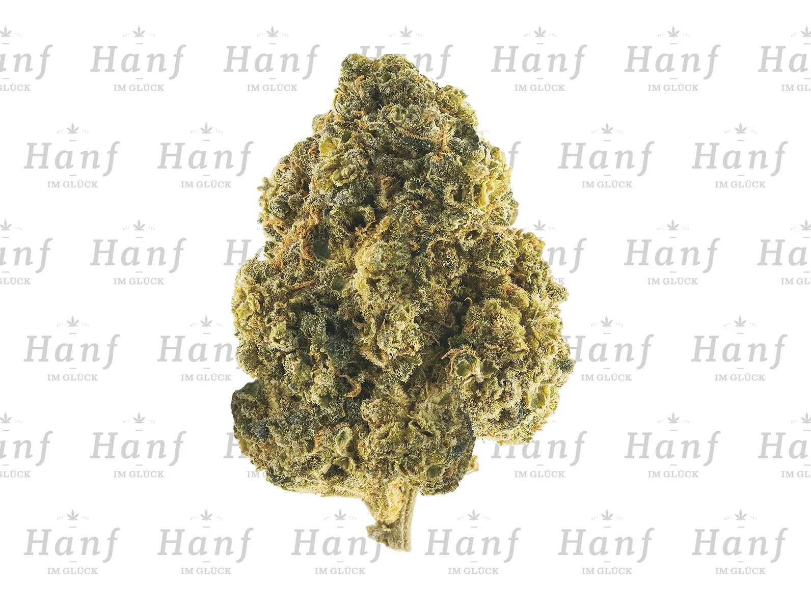 Blue Dream