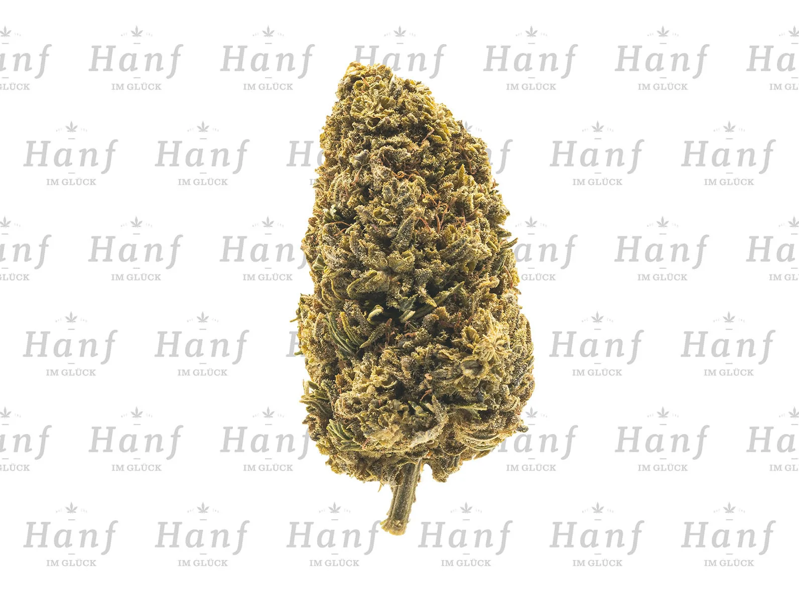 Blueberry