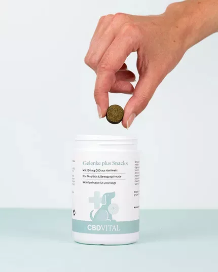 CBD Gelenke plus Snacks | Hunde | Gelenksschutz