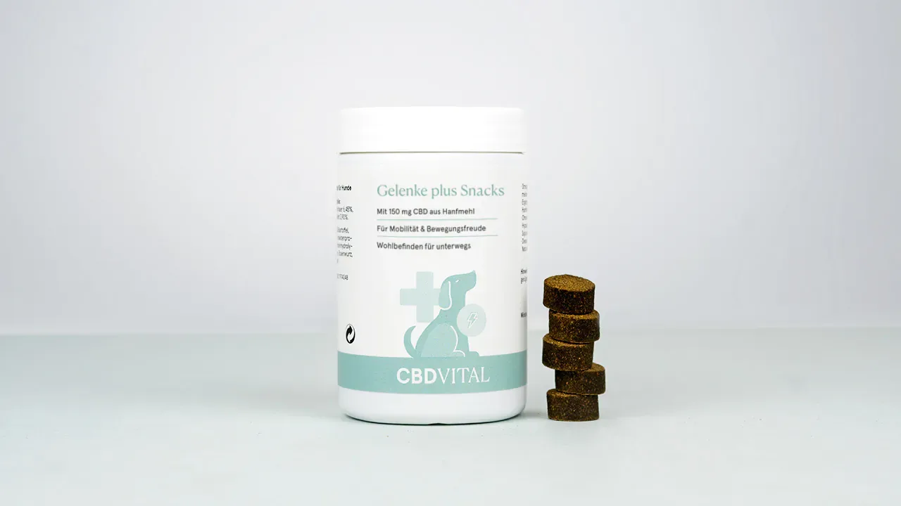 CBD Gelenke plus Snacks | Hunde | Gelenksschutz