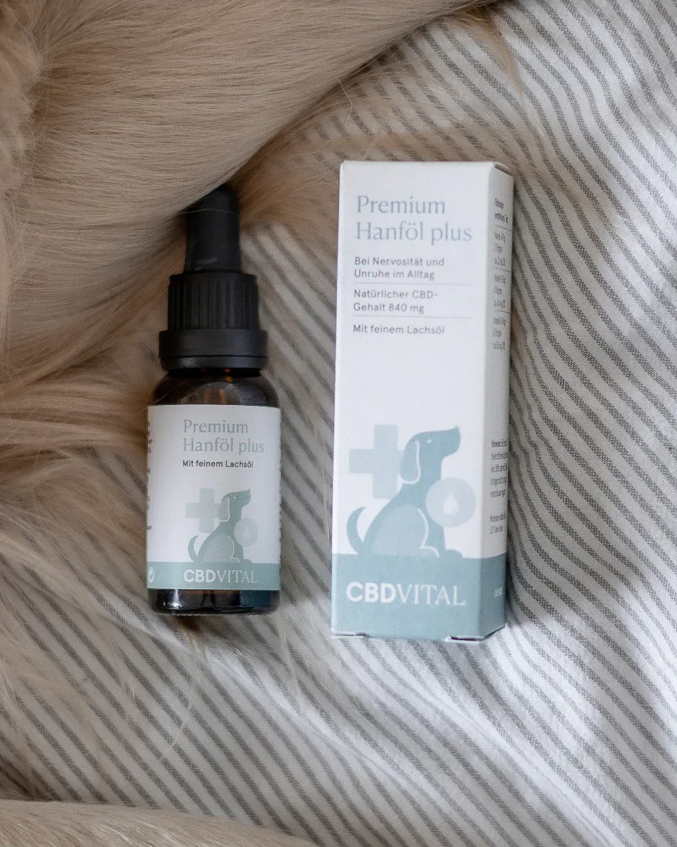 CBD Hanföl für Hunde 10%