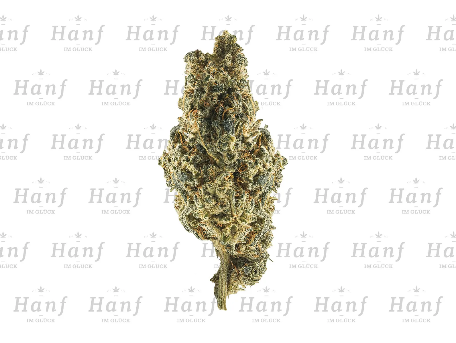 Lemon Haze