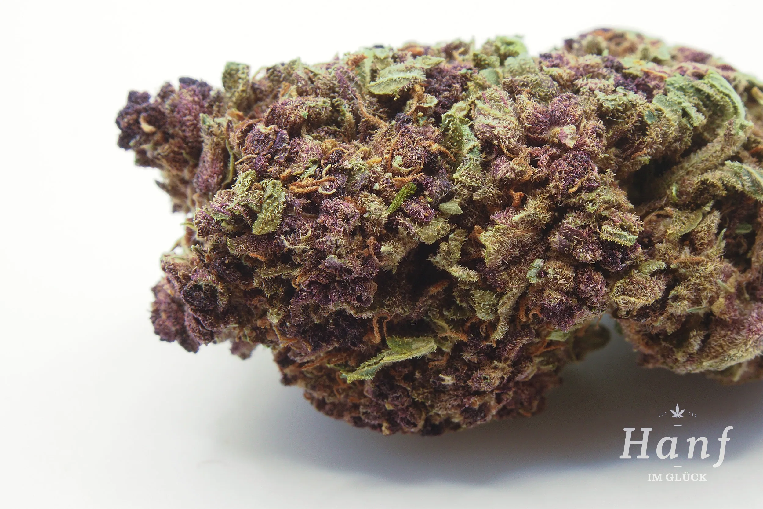 Purple Haze 