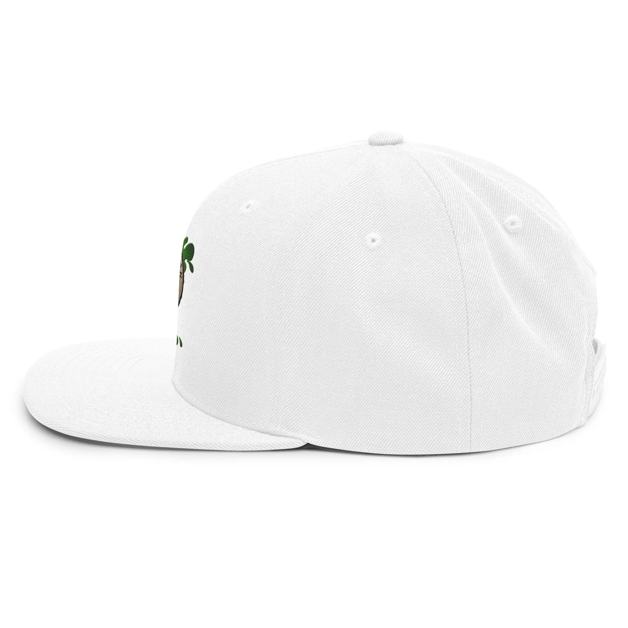 Snapback Hat